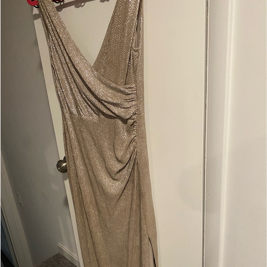 Size 12 Floor Length Taupe/Silver Evening Dress